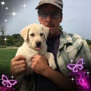 Meet your Posher, Cheryl